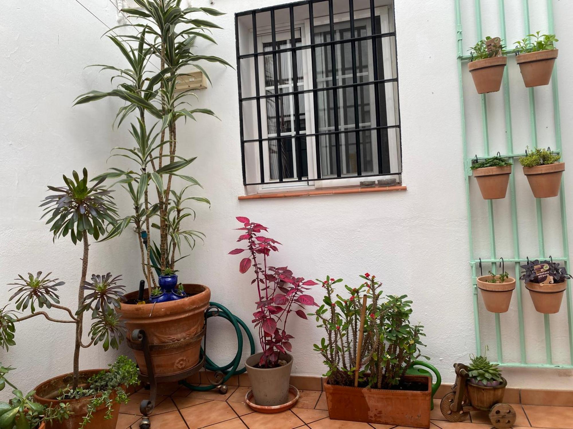 Apartment Enmitatiko Alcazar Viejo
