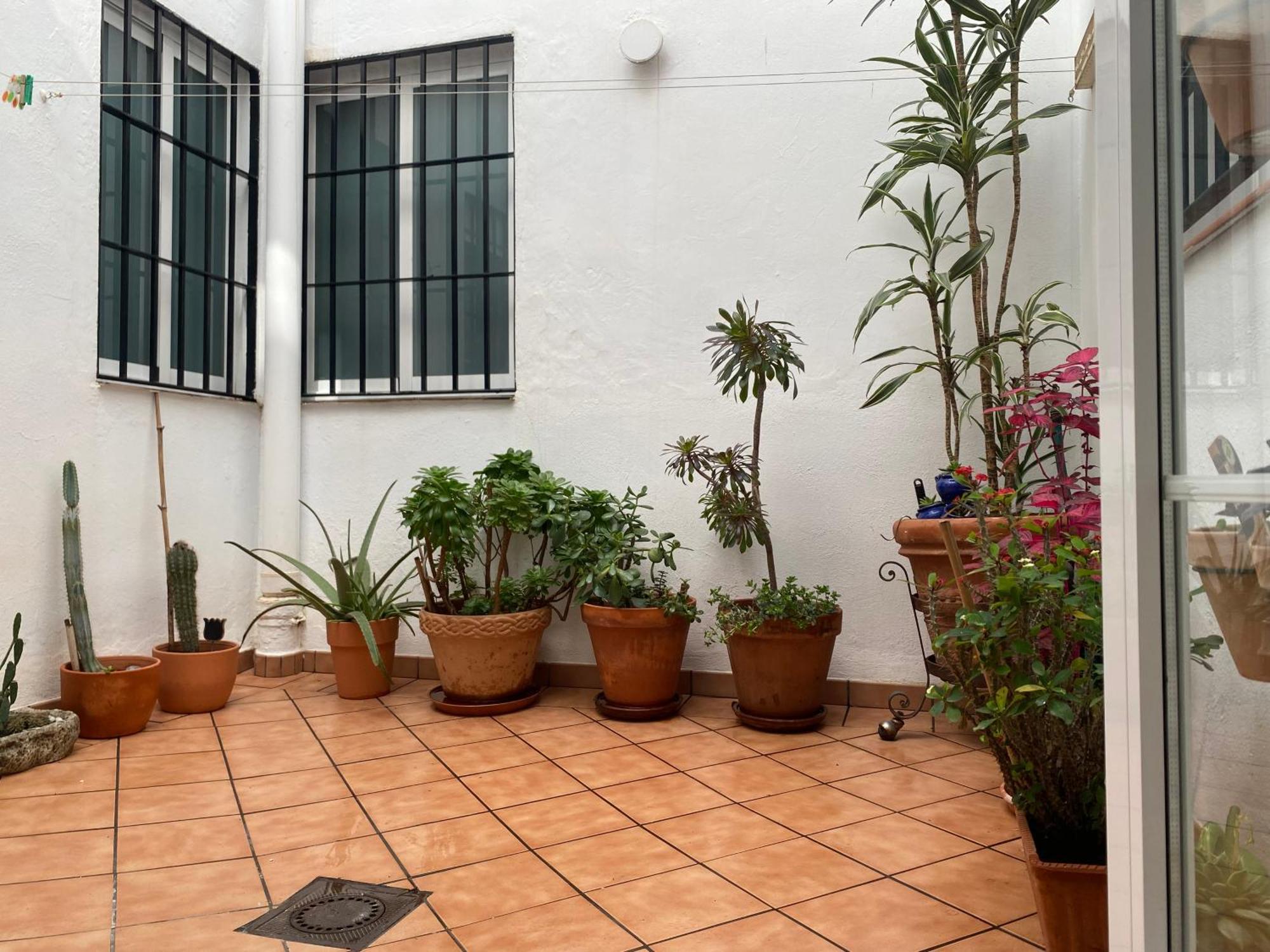 Enmitatiko Alcazar Viejo Apartment *